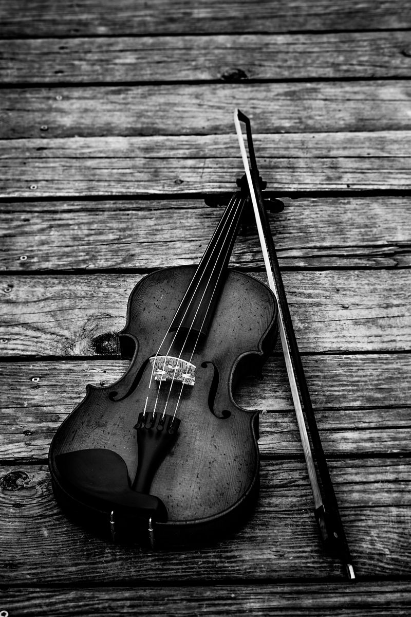 Download wallpaper 800x1200 violin, bw