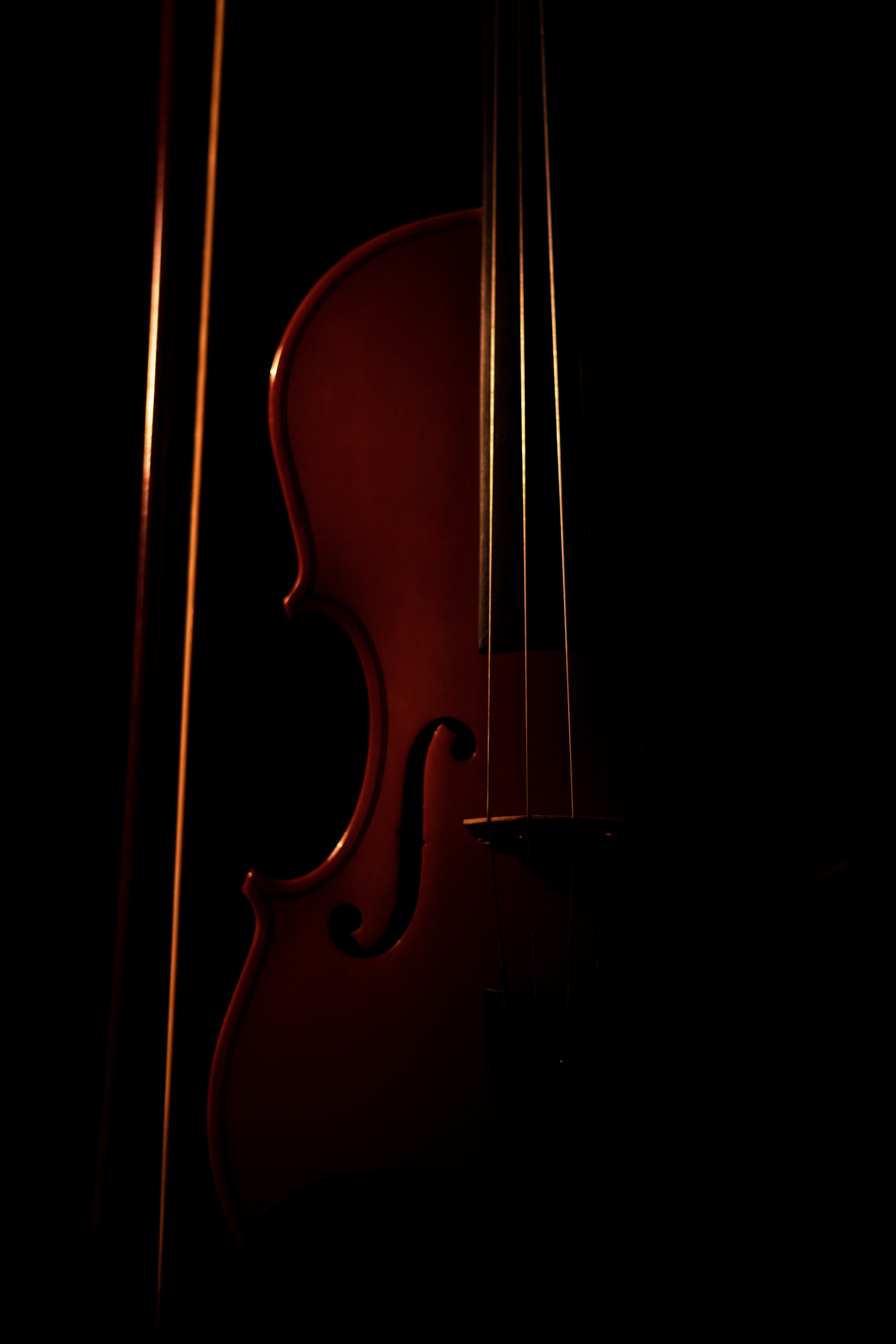 Mobile wallpaper: Violin, Music, 171596