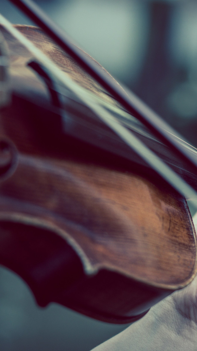 Download wallpaper: Violin 750x1334