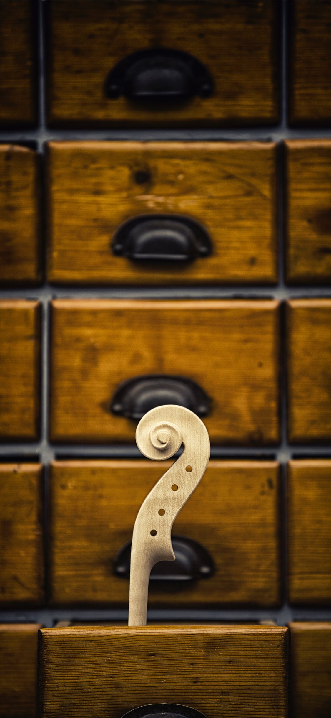 Violin head iPhone X Wallpaper Free