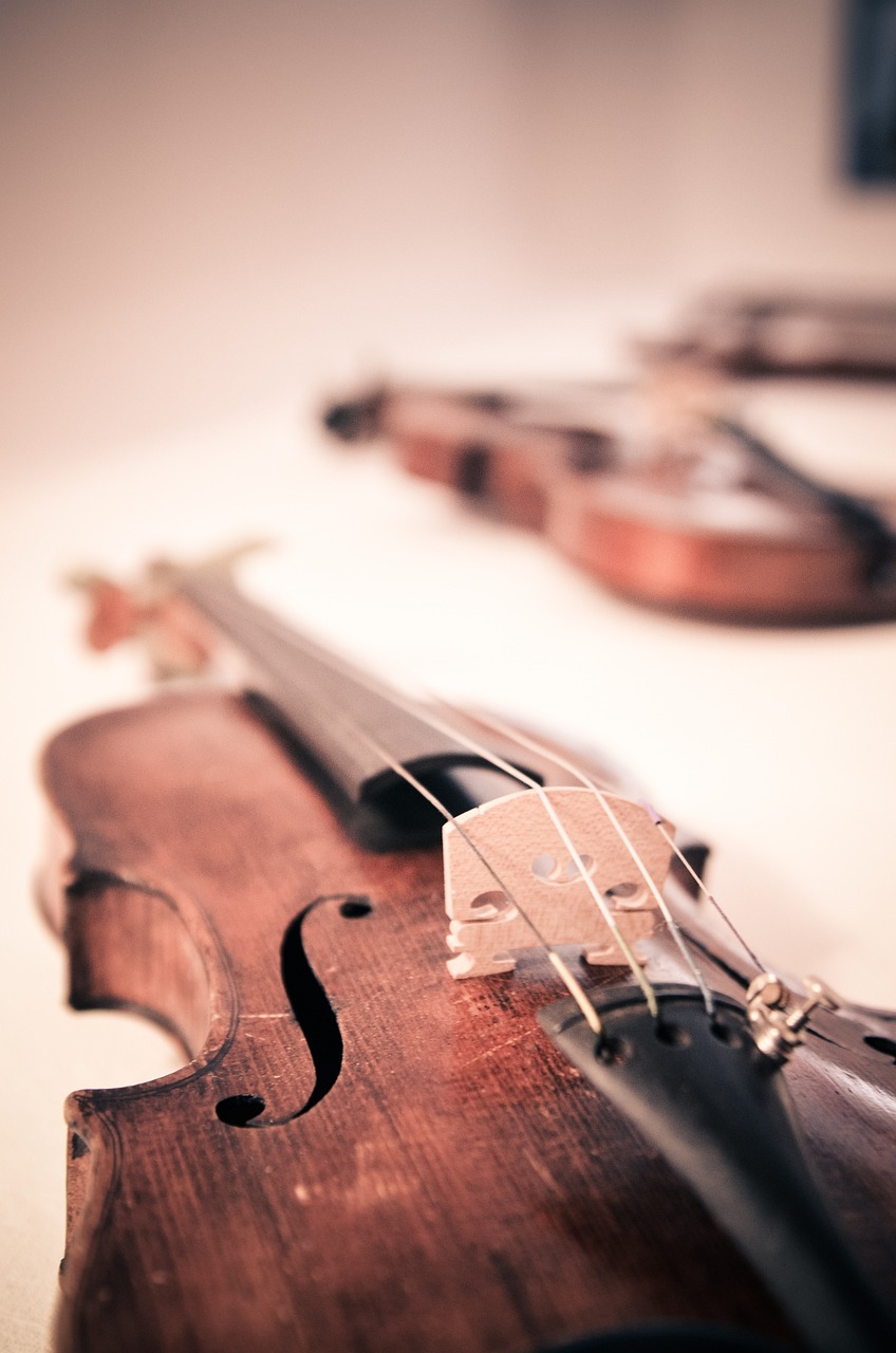 Classical Violin & Violin Image