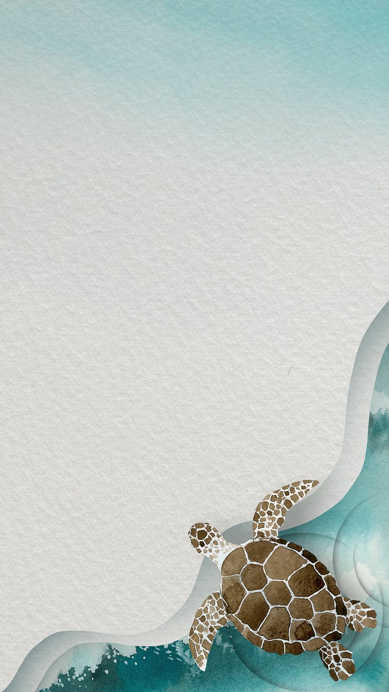 Sea Turtle Image. Free Photo, PNG