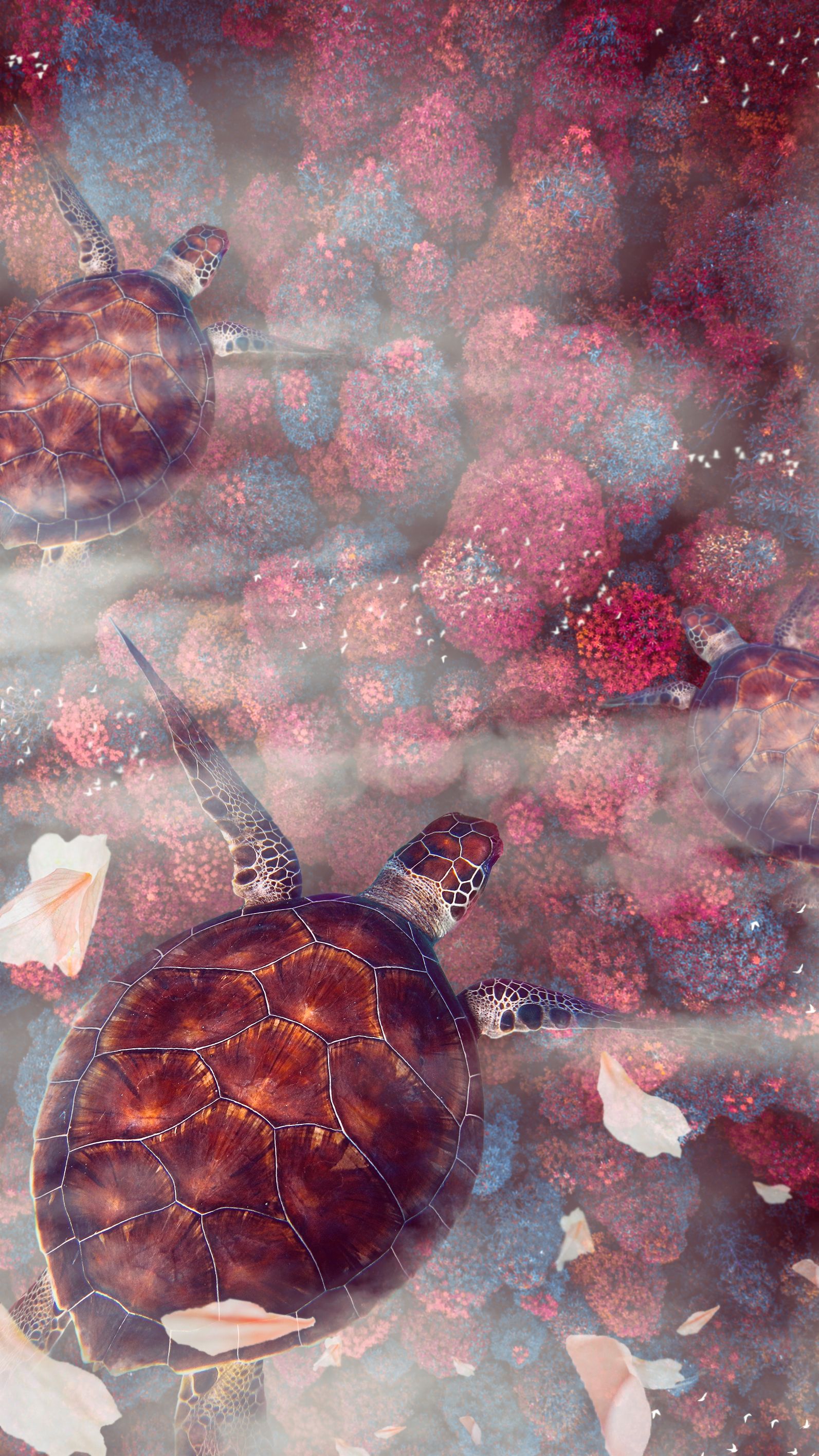 Download Sea Turtle wallpaper