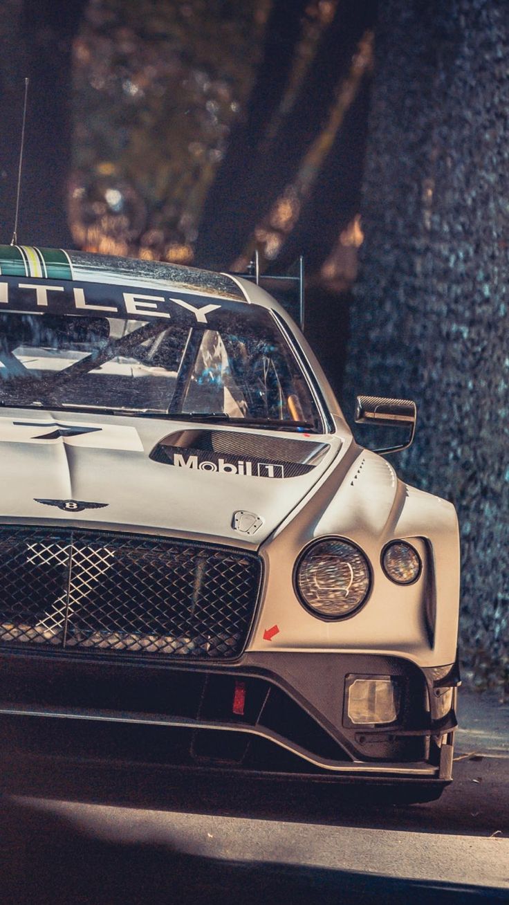 Bentley Continental GT3. Car
