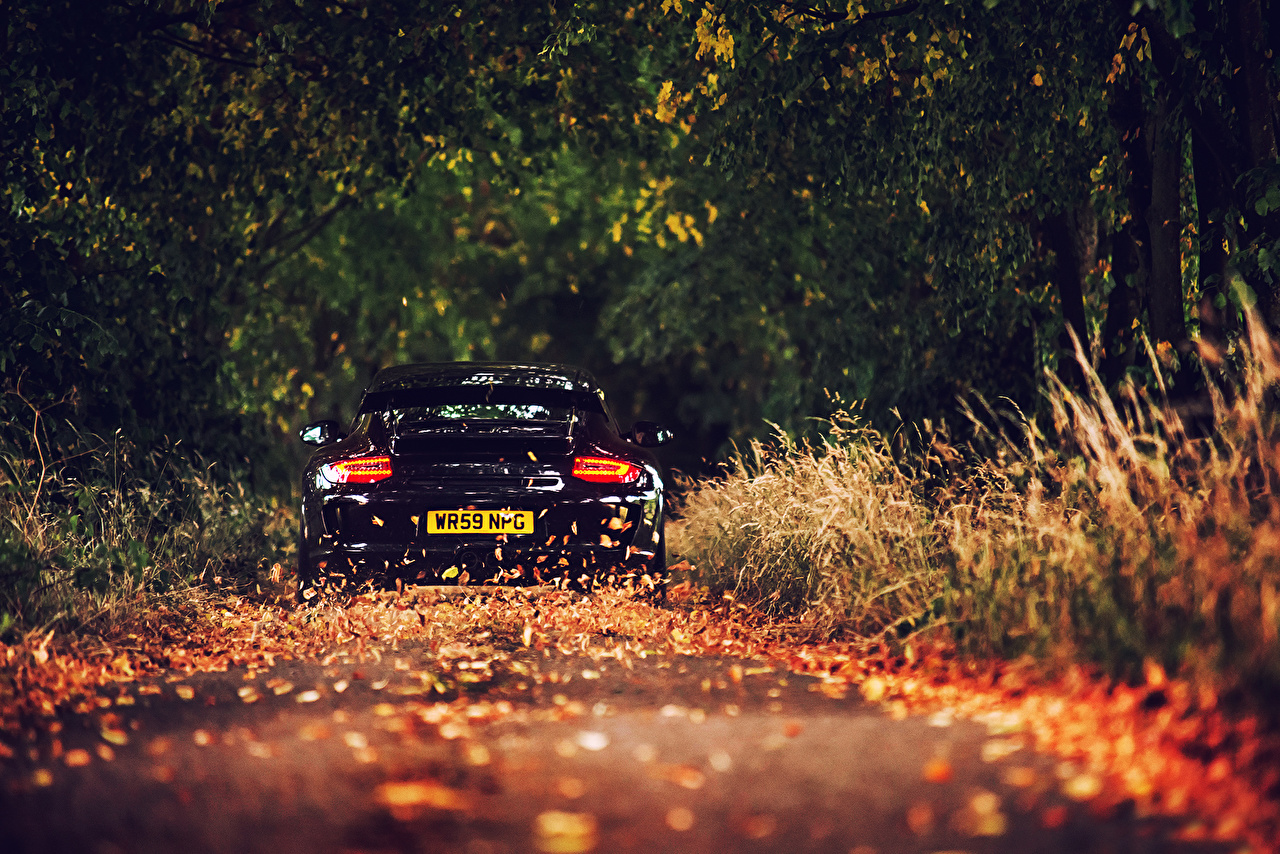 Desktop Wallpaper Porsche Leaf gt3