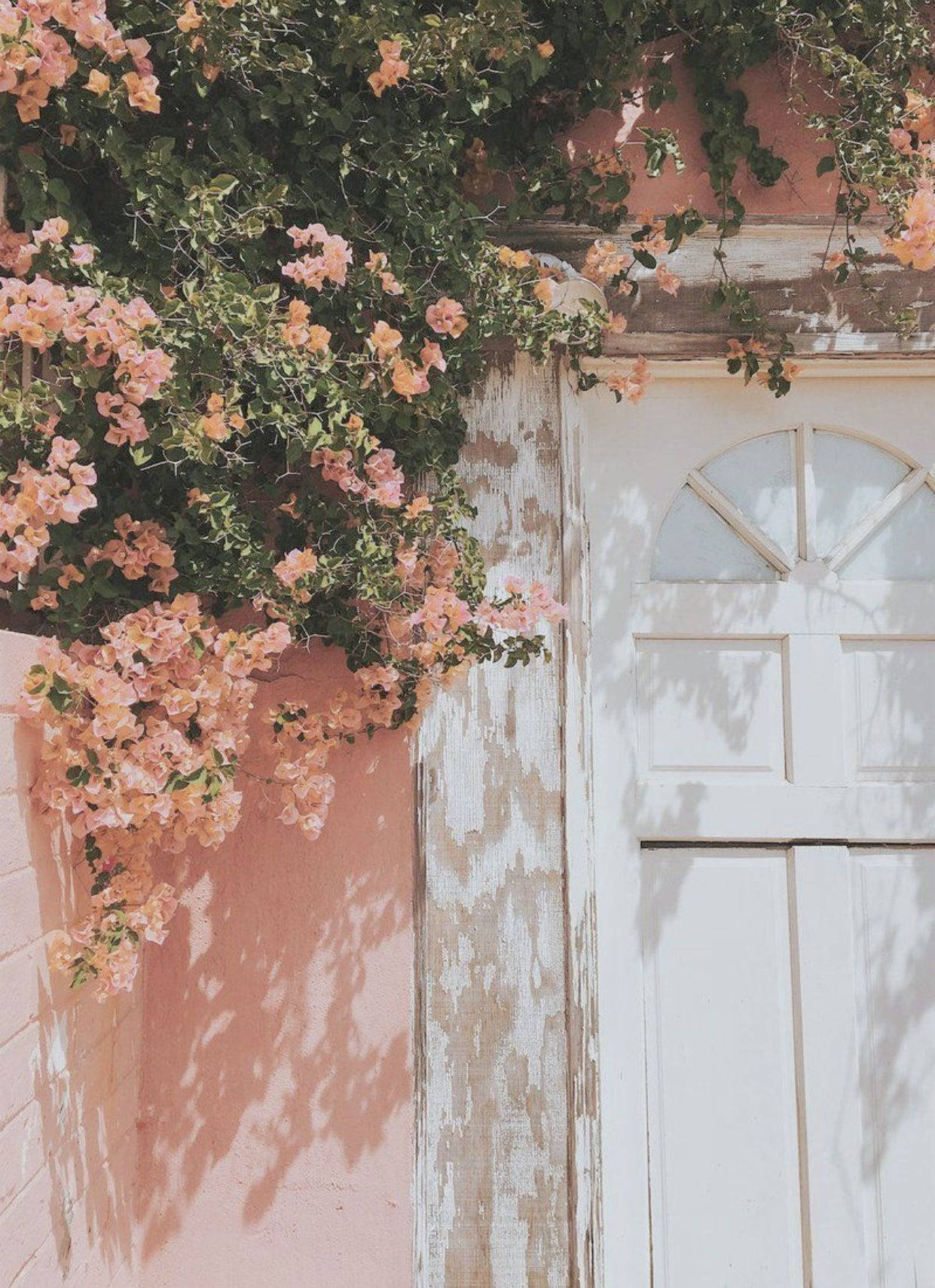 Free Pastel Phone HD Wallpaper