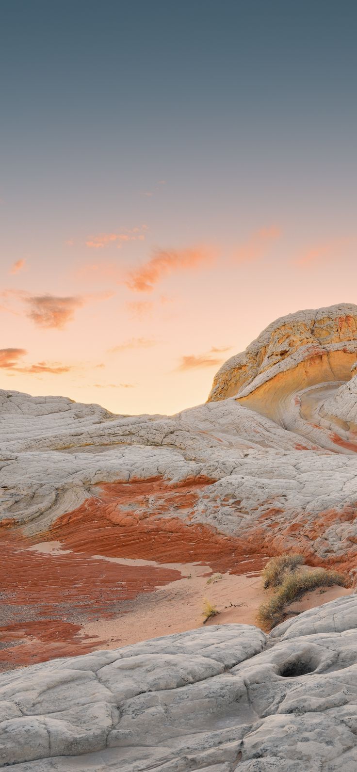 iPhone 12 Pro Max Wallpaper