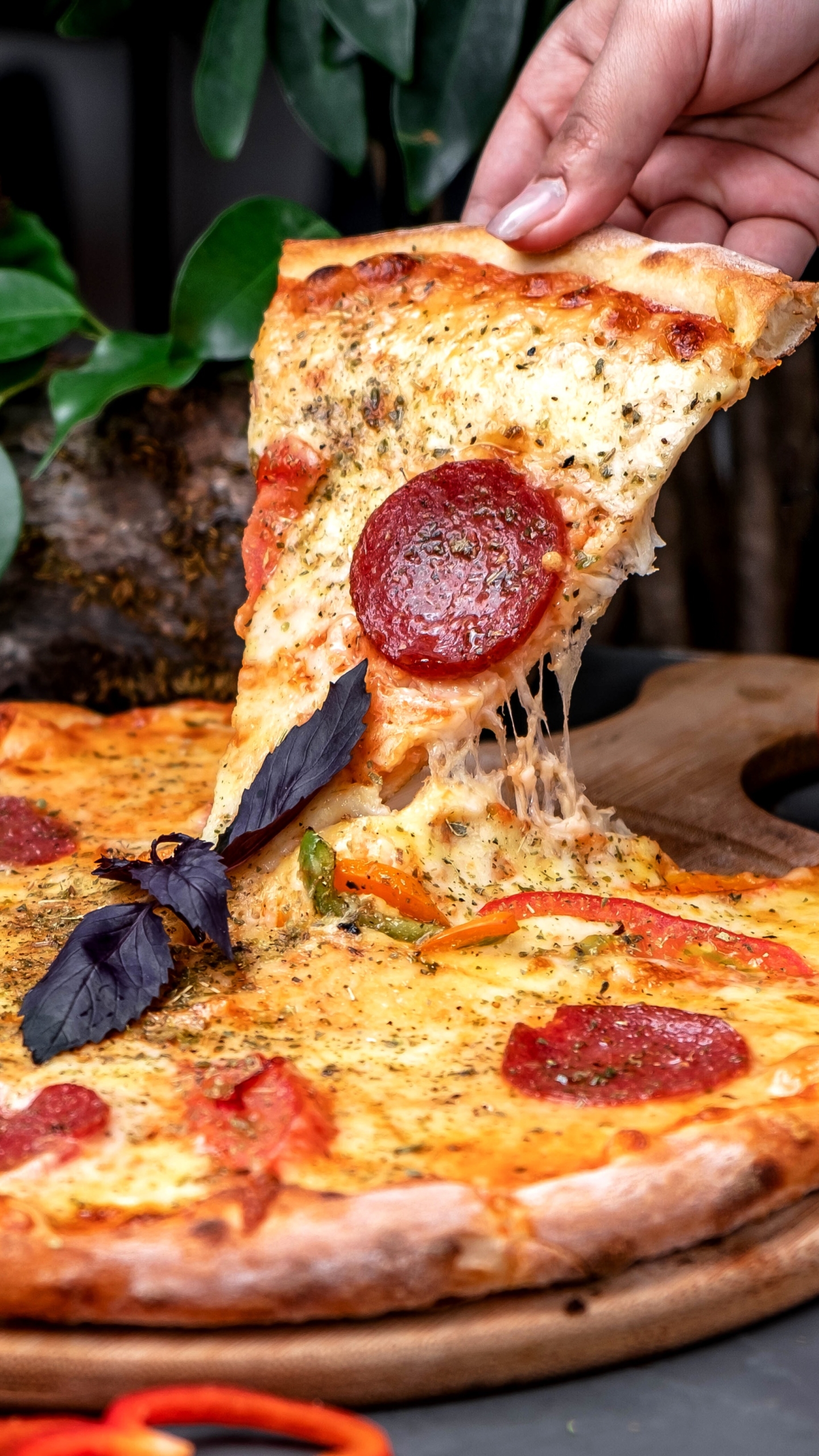 Mobile wallpaper: Food, Pizza, Still