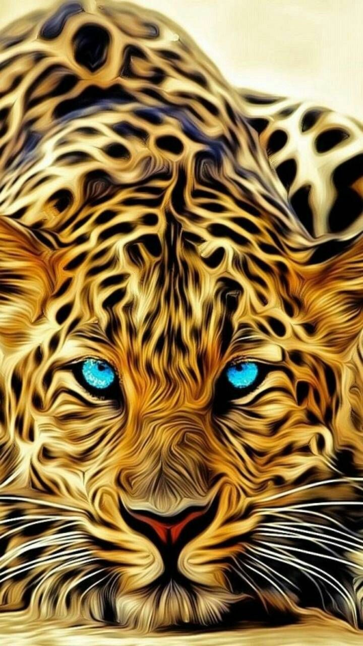 Jaguar wallpaper, Wild animal wallpaper
