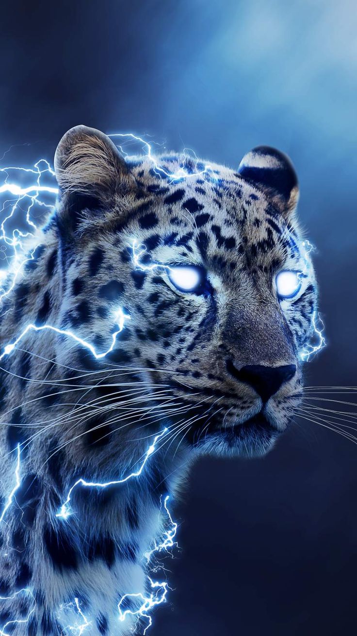 Speedster iPhone Wallpaper. Wild