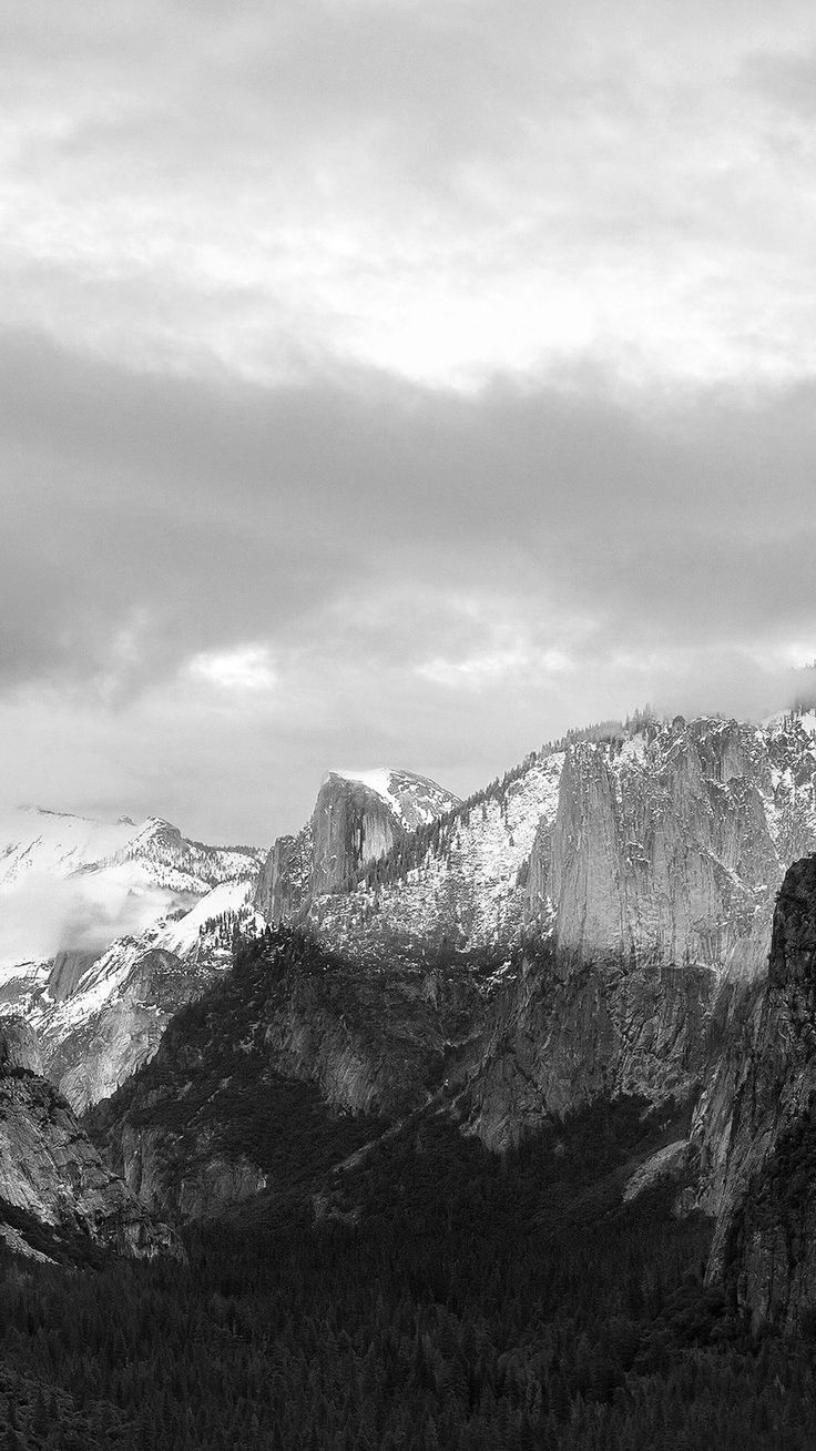 Dark Grayscale Mountains Forest