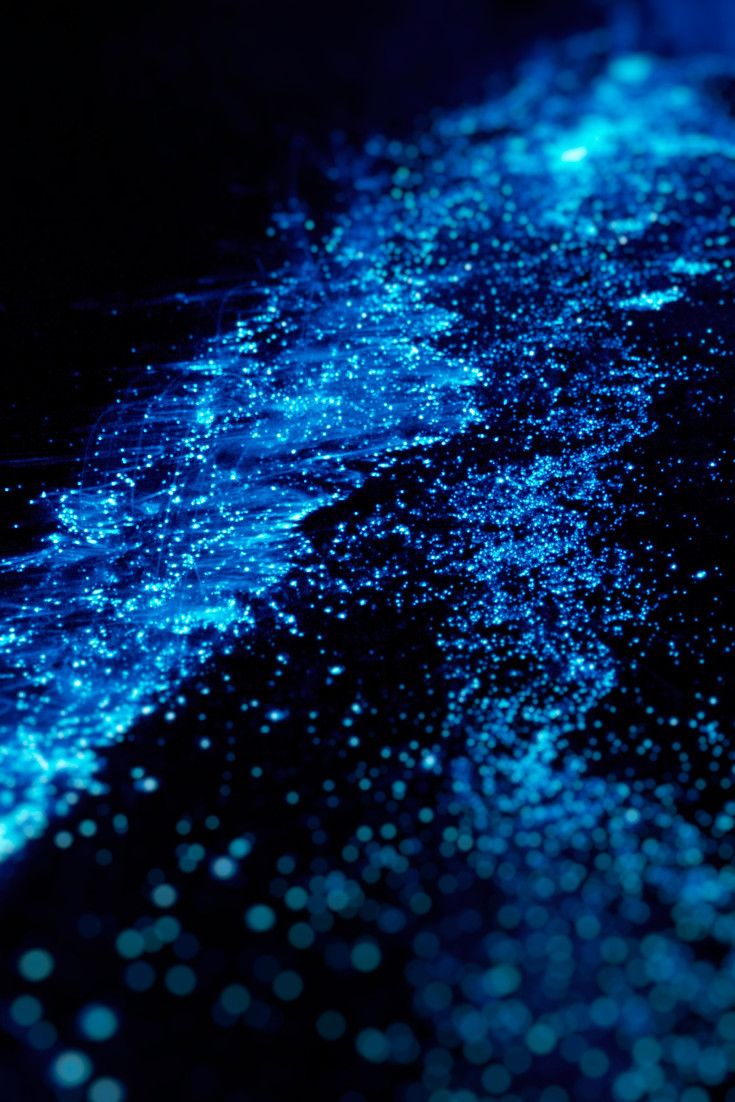Bioluminescent Waves Glimpsed In Mumbai