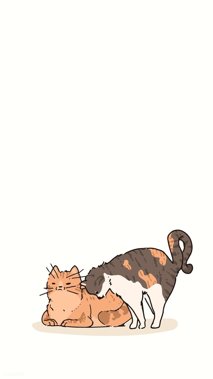 Cat doodle, Cat pattern wallpaper