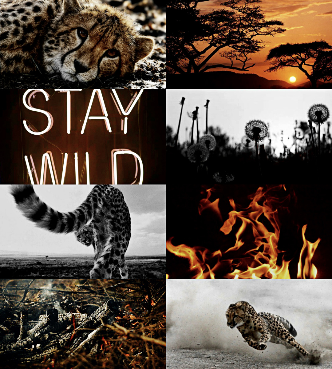 Cheetahkin Aesthetic