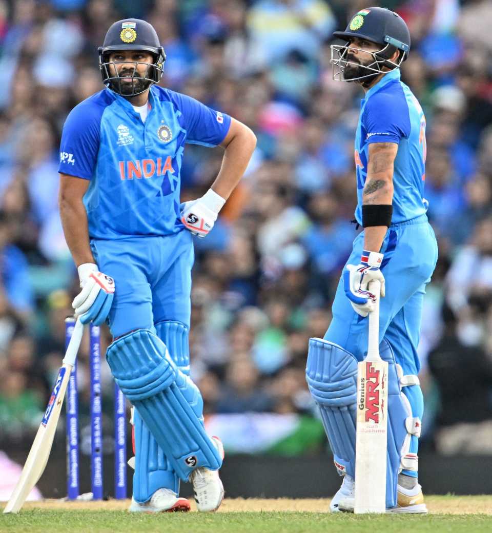 Cricket Photo vs NED, 23rd Match