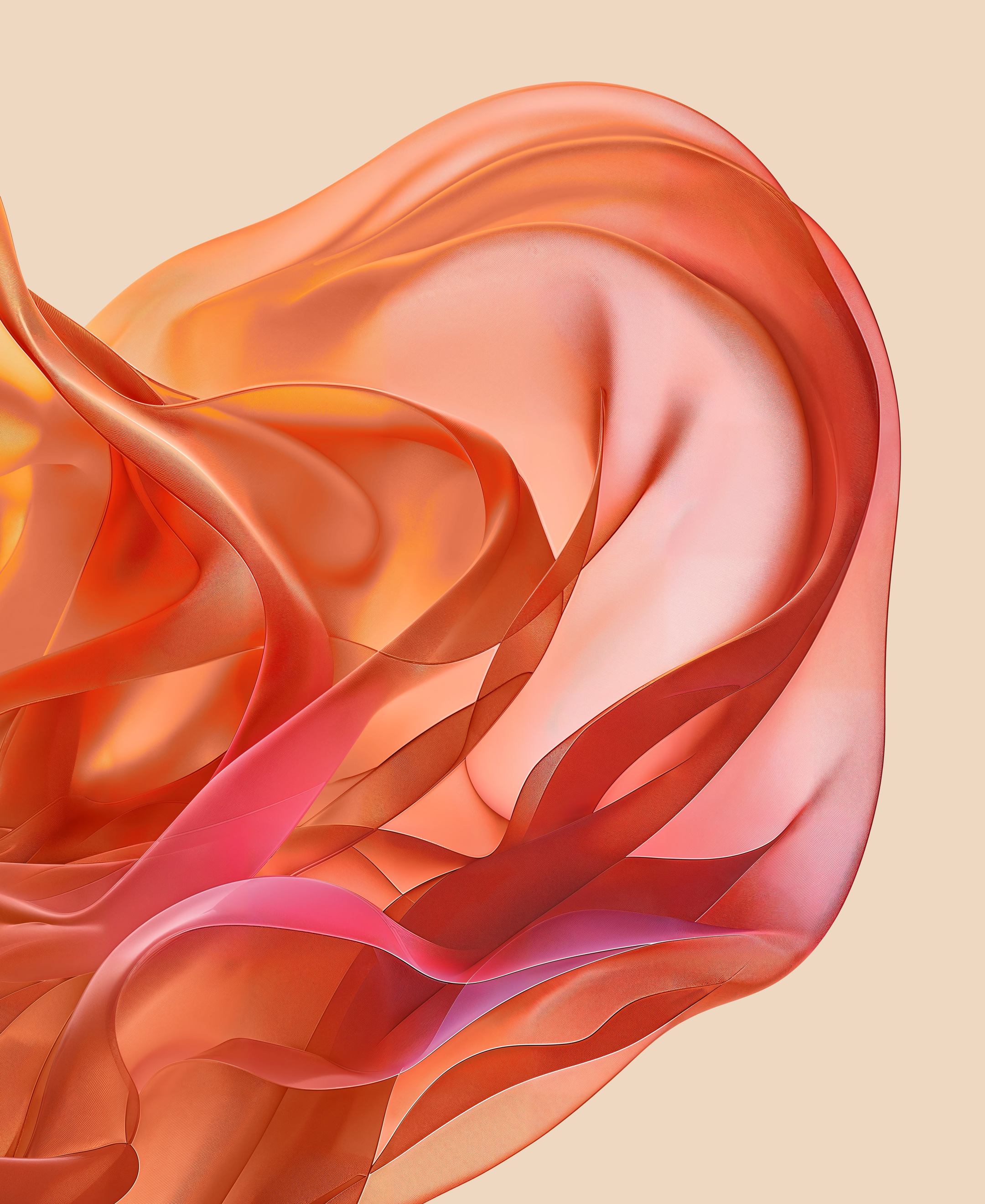 Motorola Razr 50 Ultra wallpaper