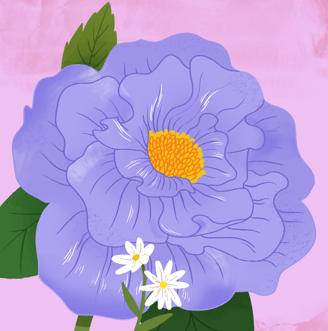 Motorola Razr 50 Ultra wallpaper