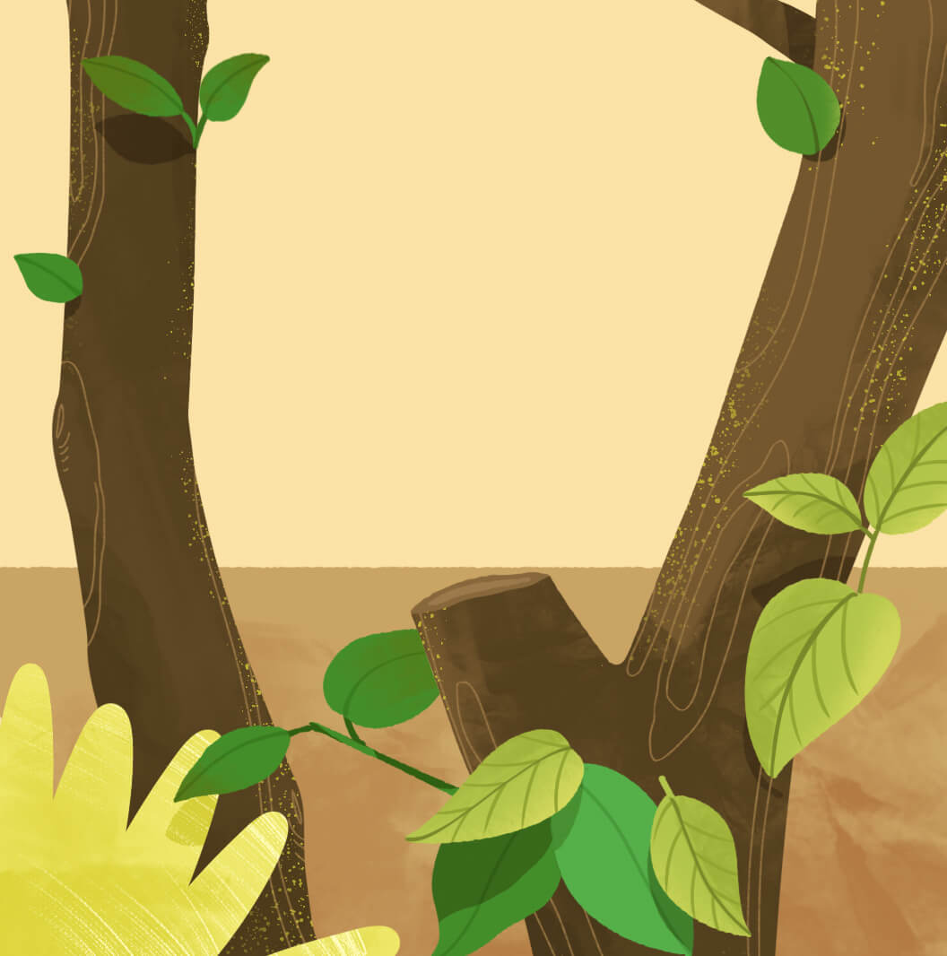 Motorola Razr 50 Ultra wallpaper