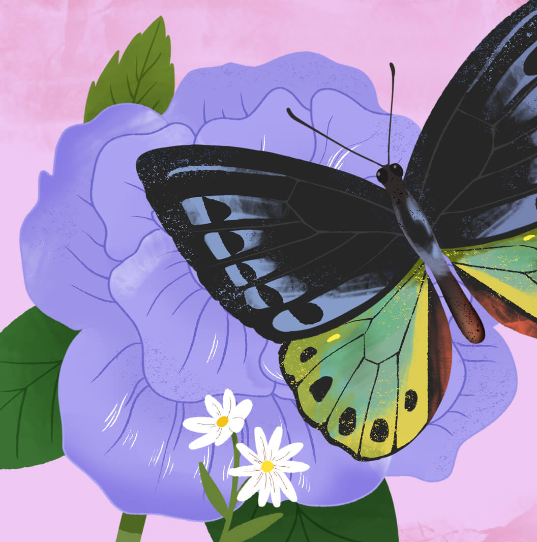 Motorola Razr 50 Ultra wallpaper