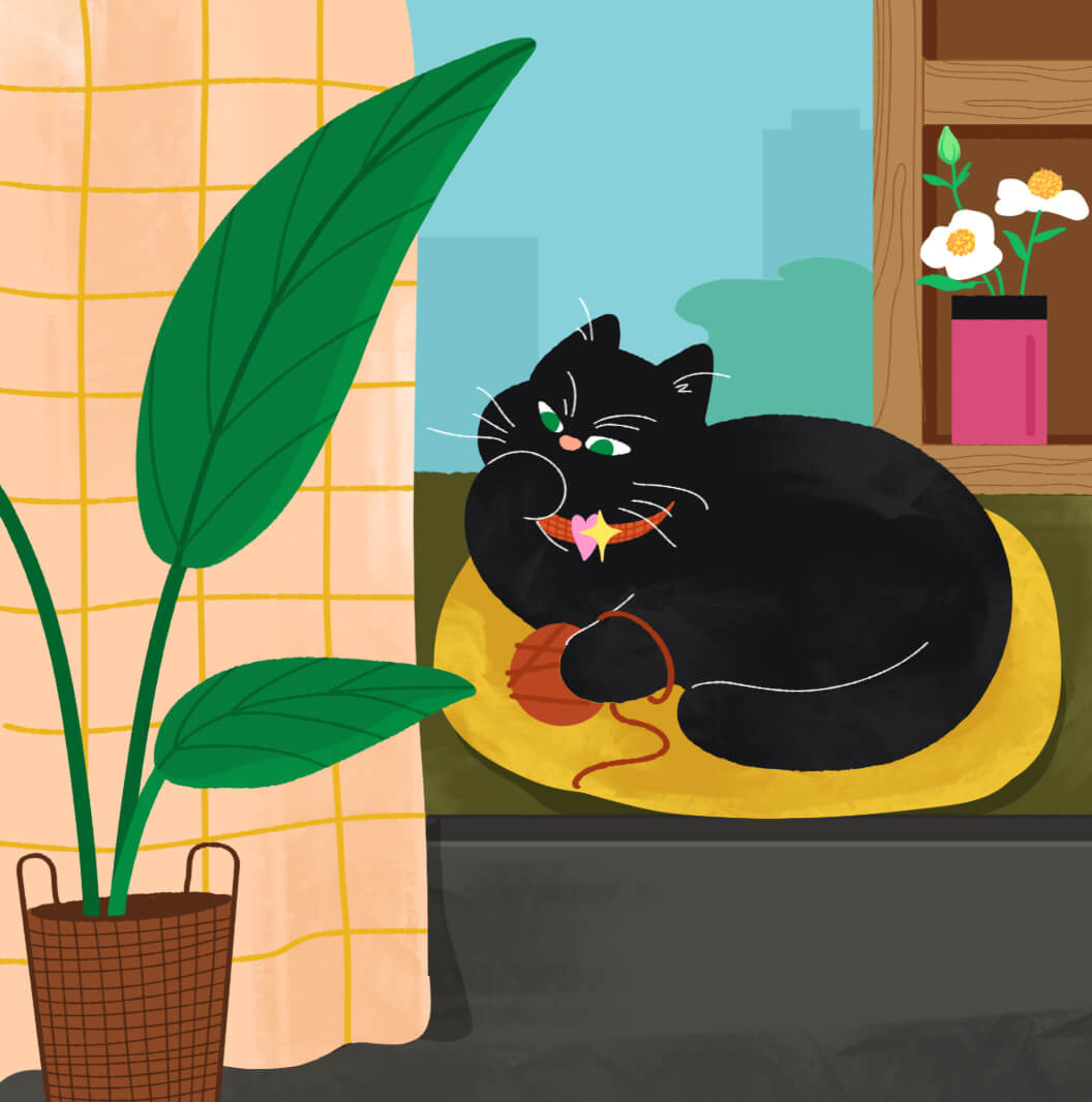 Motorola Razr 50 Ultra wallpaper