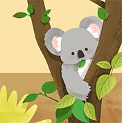 Motorola Razr 50 Ultra wallpaper