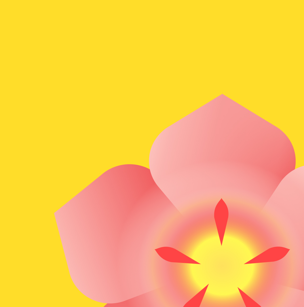 Motorola Razr 50 Ultra wallpaper