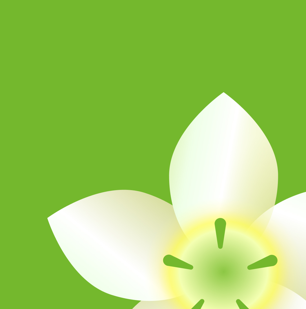 Motorola Razr 50 Ultra wallpaper