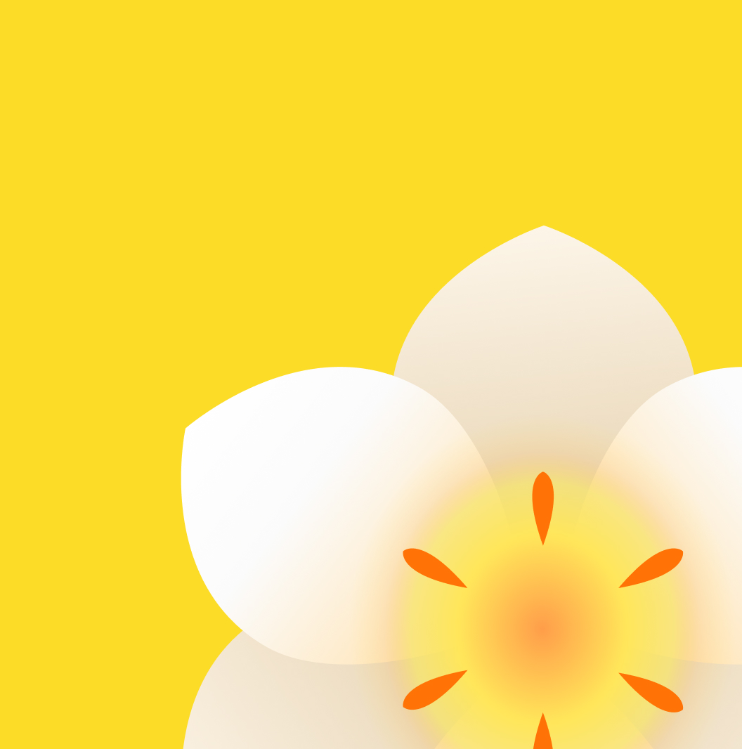 Motorola Razr 50 Ultra wallpaper