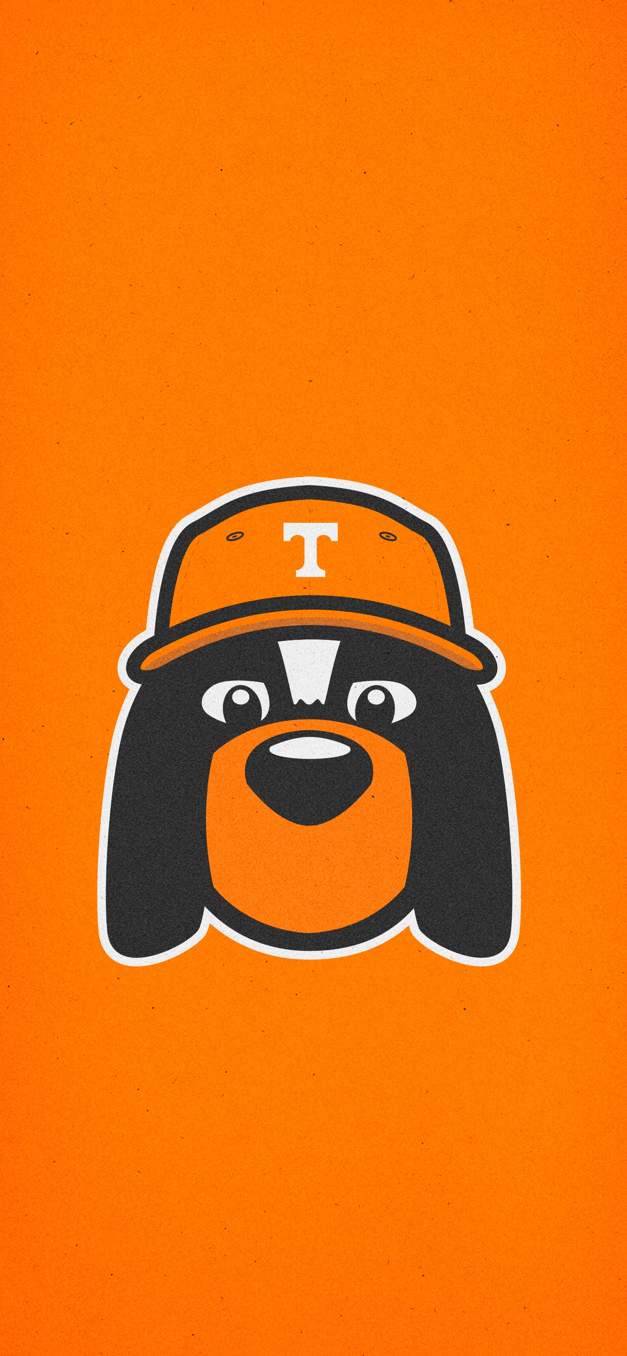 Tennessee Baseball wants