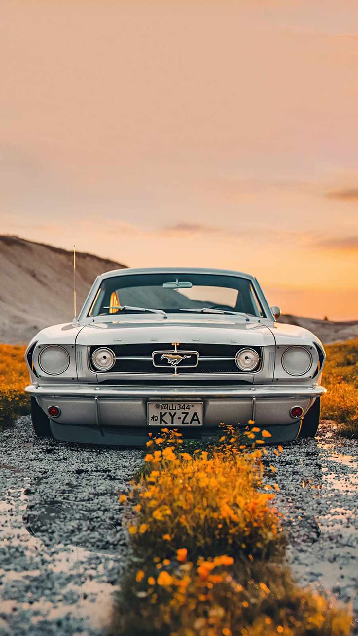 Ford Mustang Bbs Motorsport IPhone