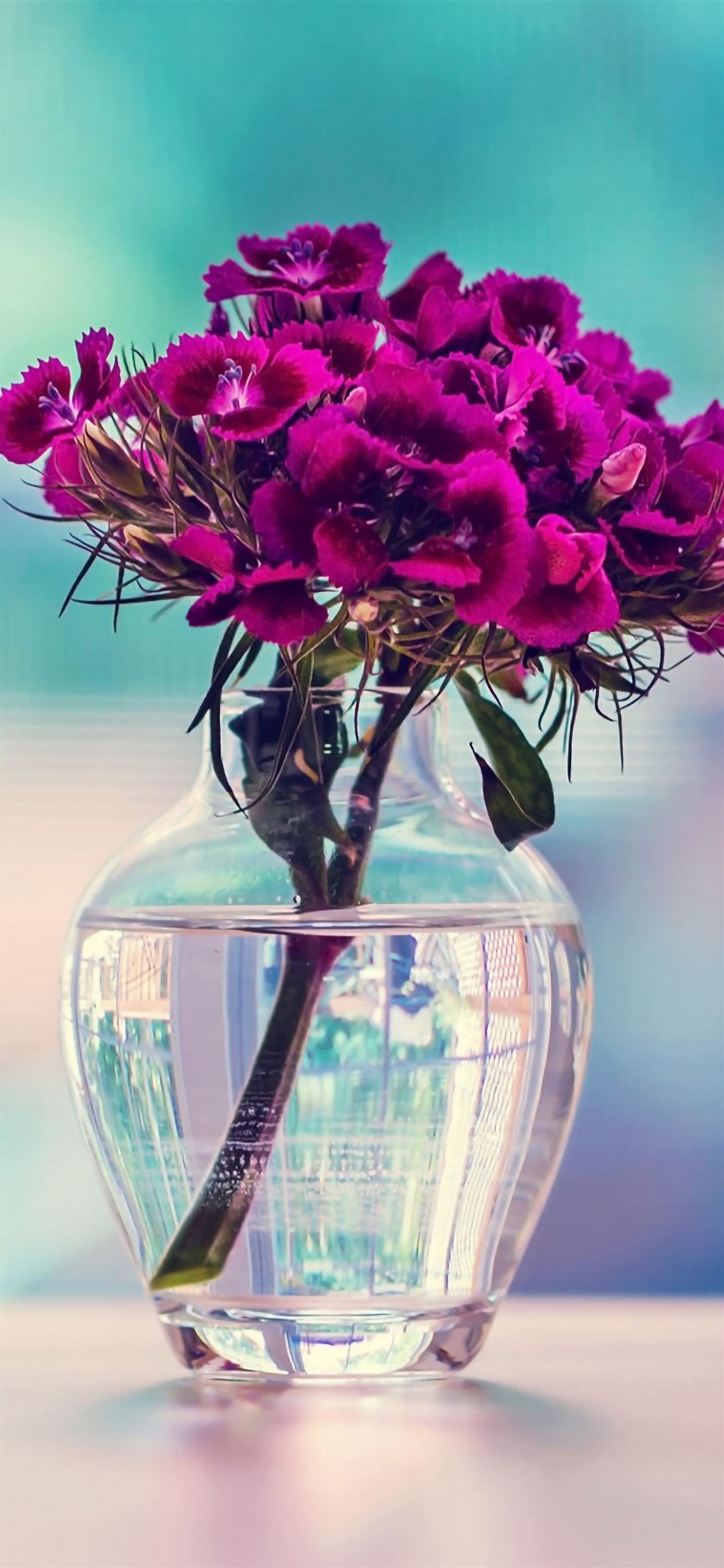 Vase Flower iPhone Wallpaper