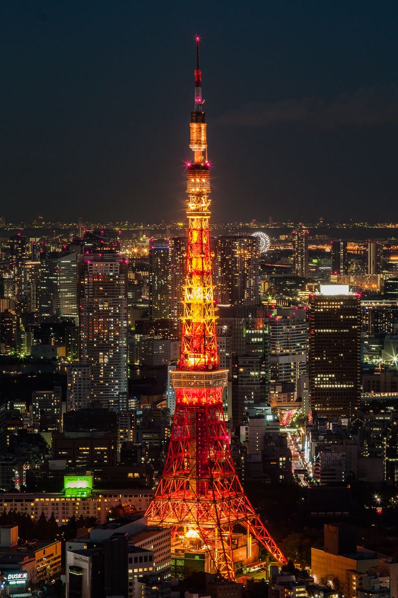 Download wallpaper 800x1200 tokyo