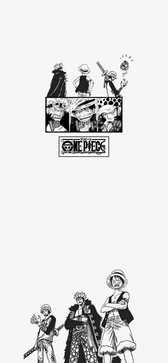 One piece anime wallpaper