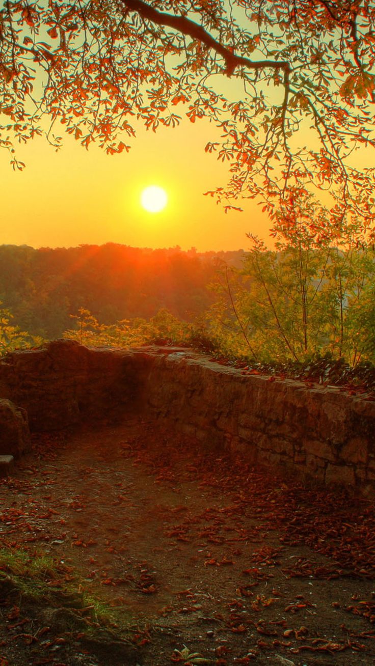 Retro Wall Sunset Landscape #iPhone