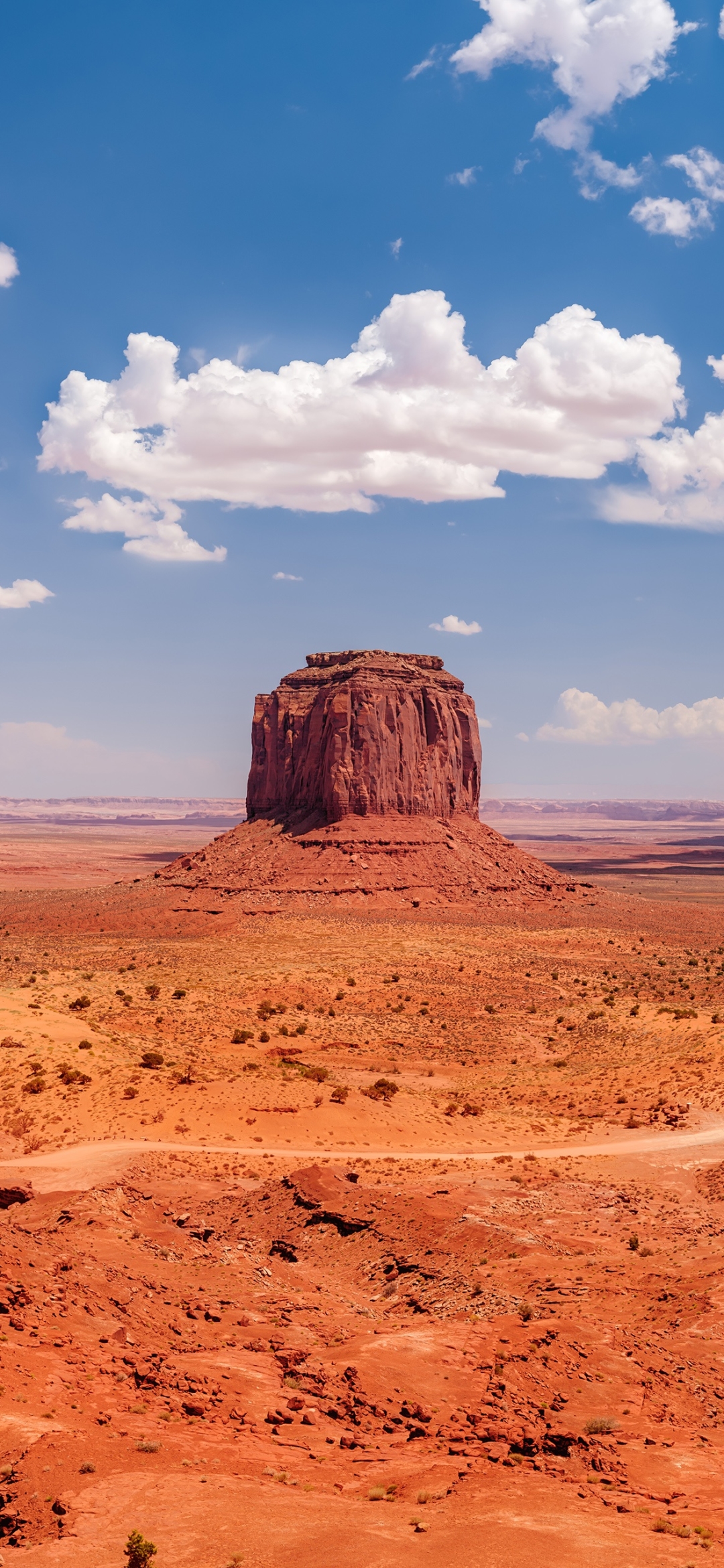 Earth, Panorama, Monument Valley