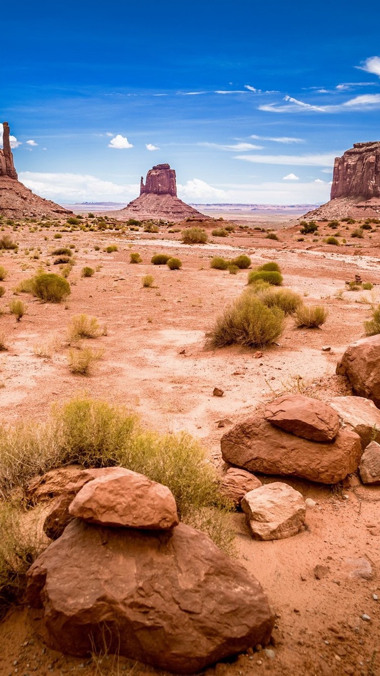 USA, Monument Valley National Park