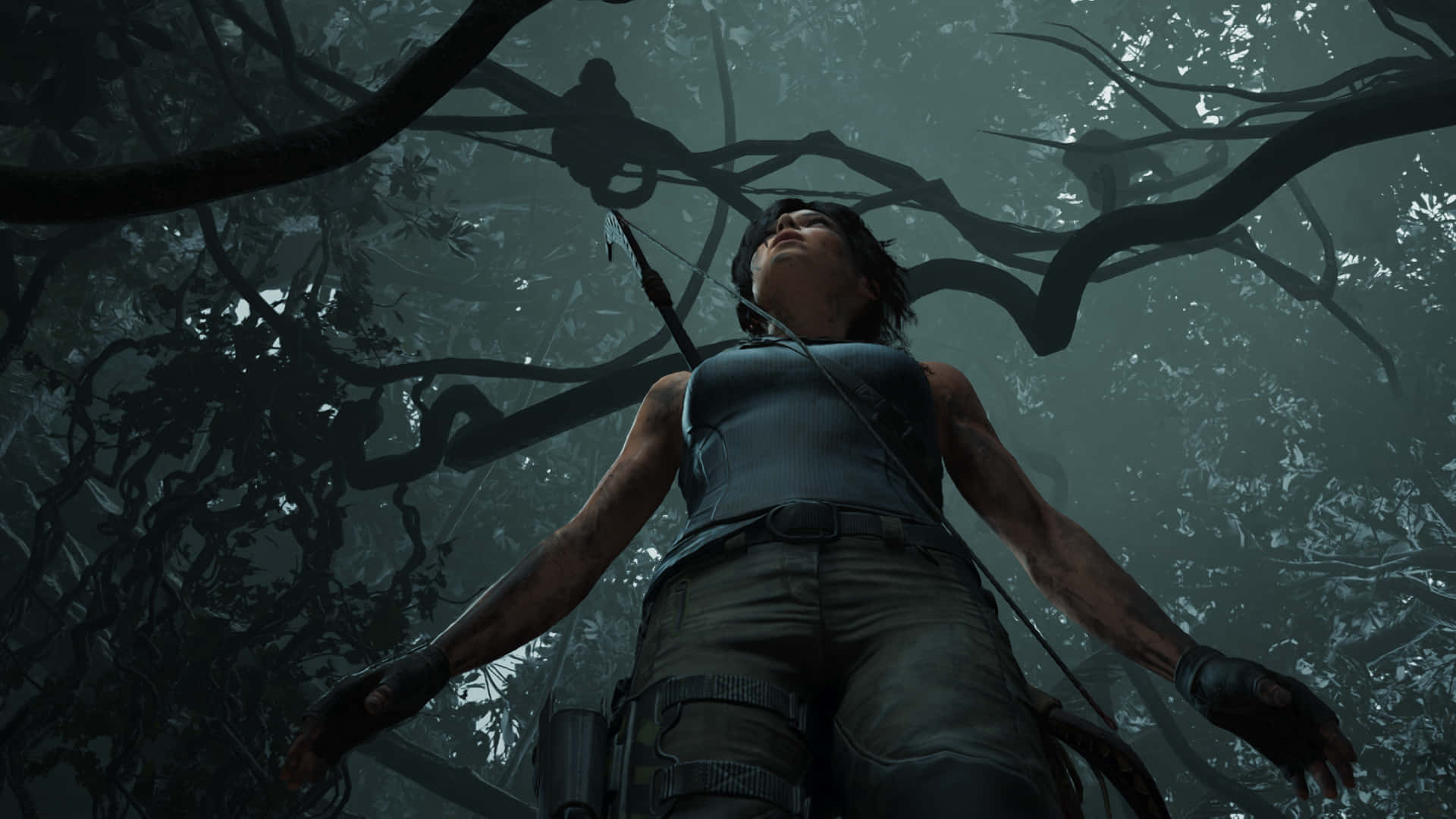 Download Lara Croft