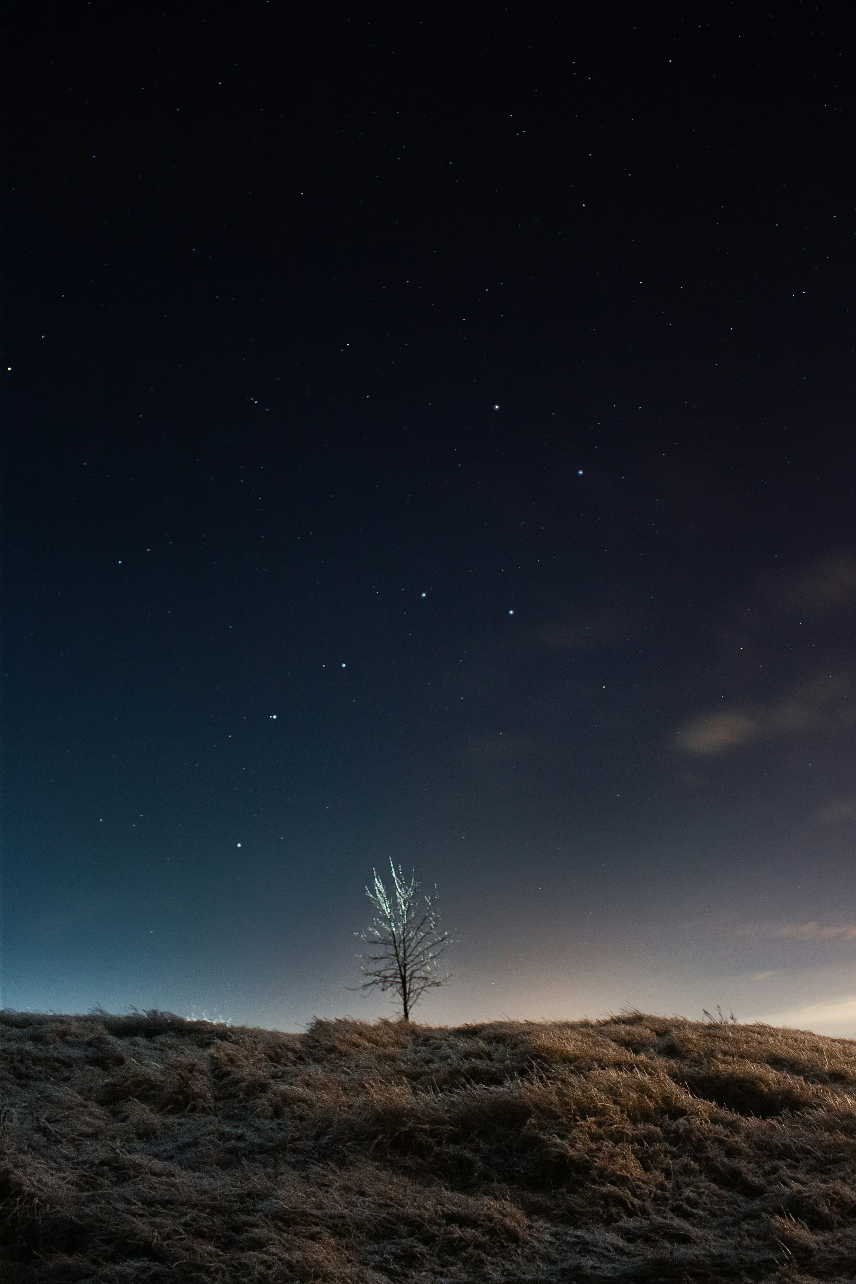 Vertical Wallpaper Picture