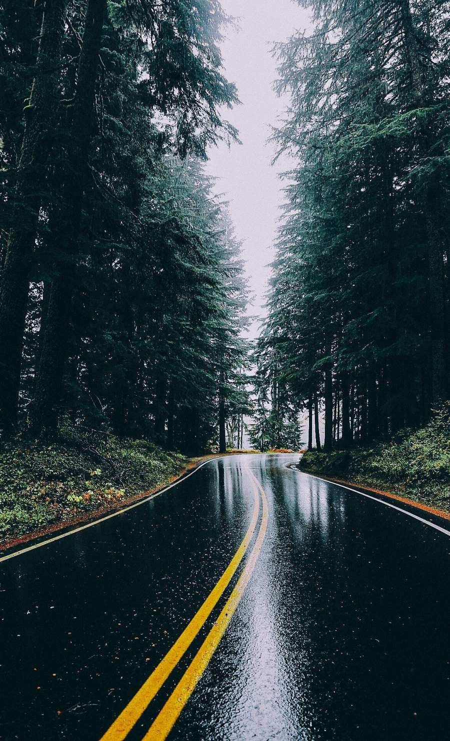 Rain Road iPhone Wallpaper
