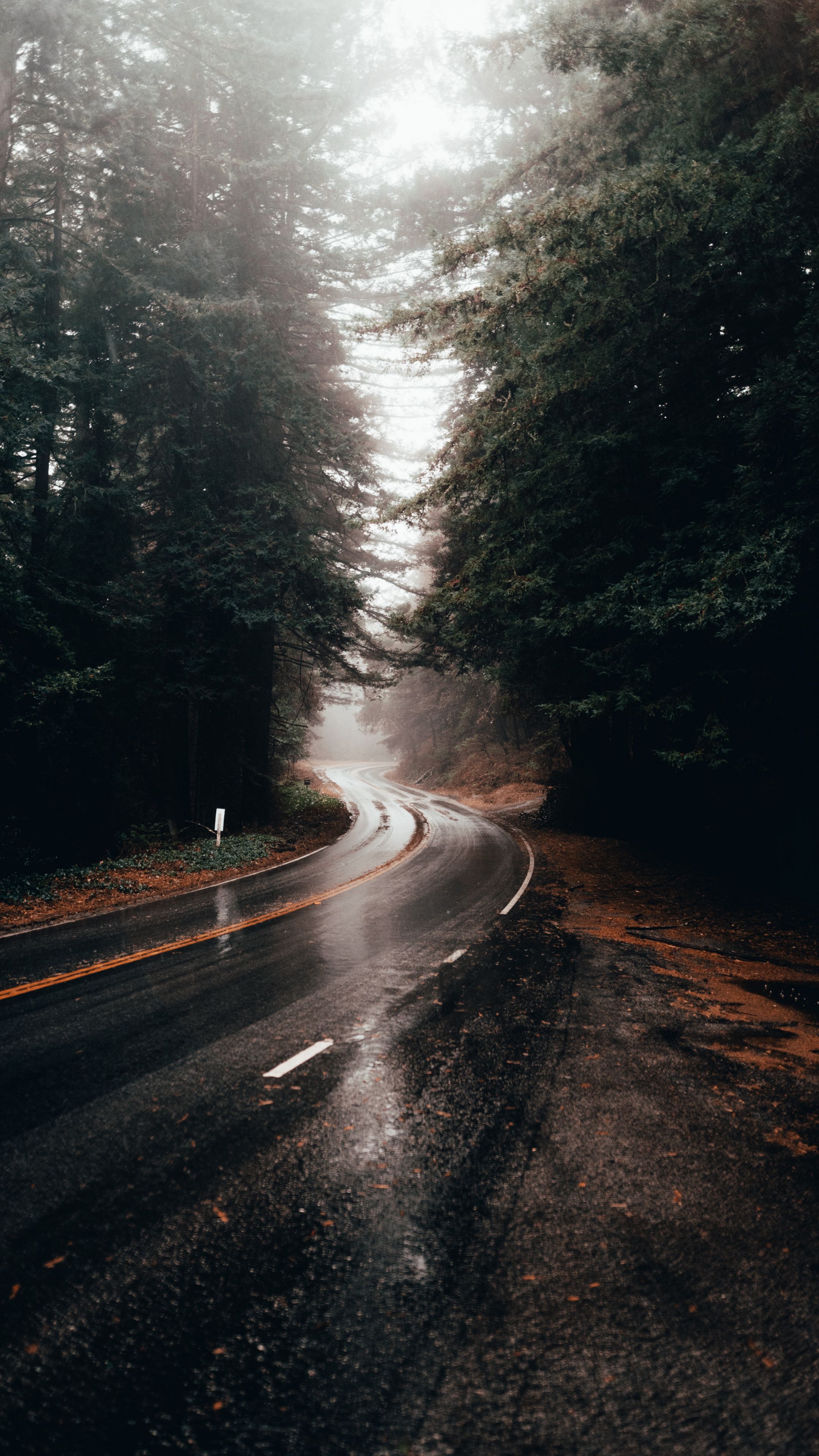 rainy wallpaper
