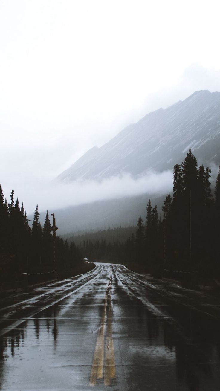 Download wallpaper 938x1668 road, fog