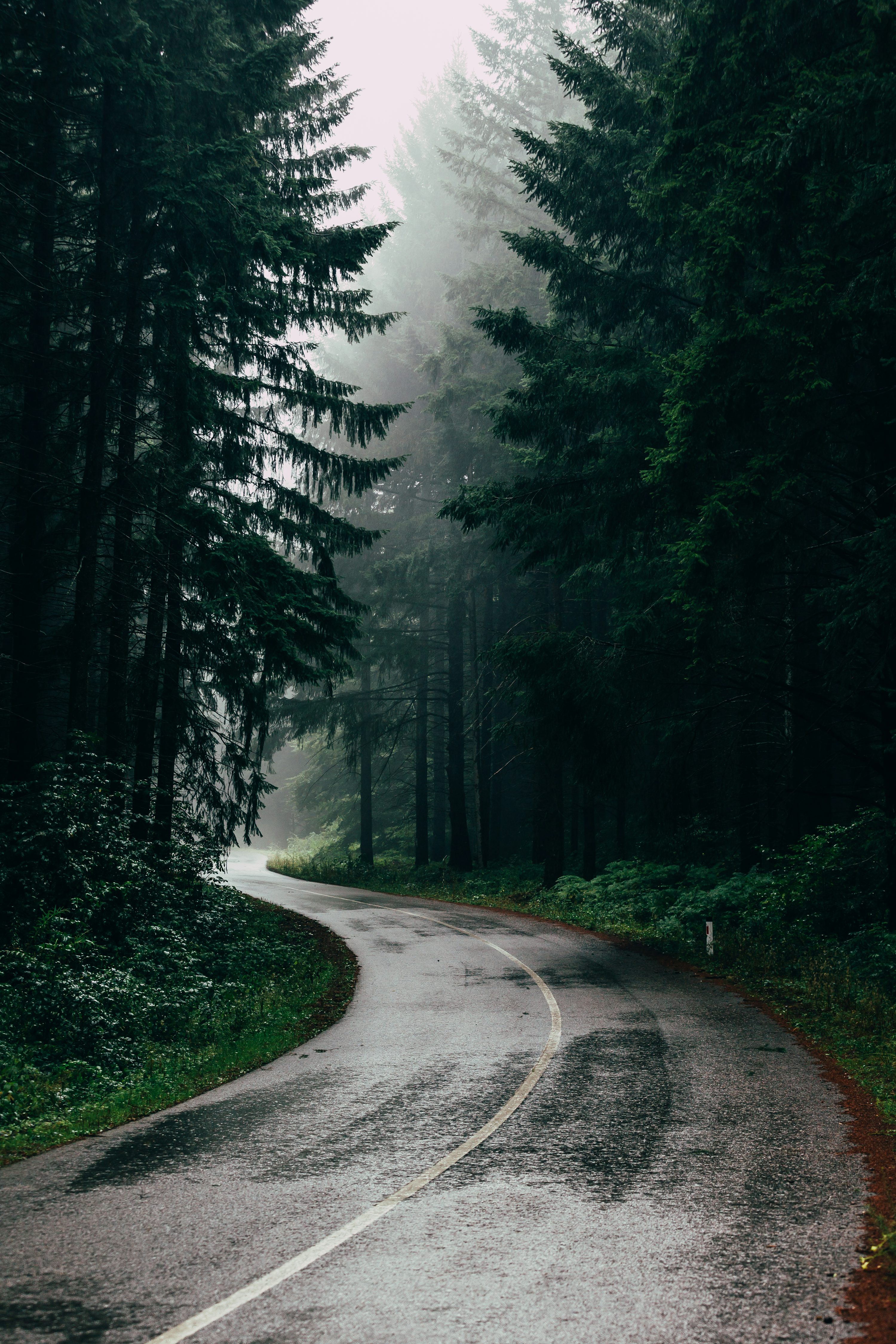 Road Rain Picture. Download Free