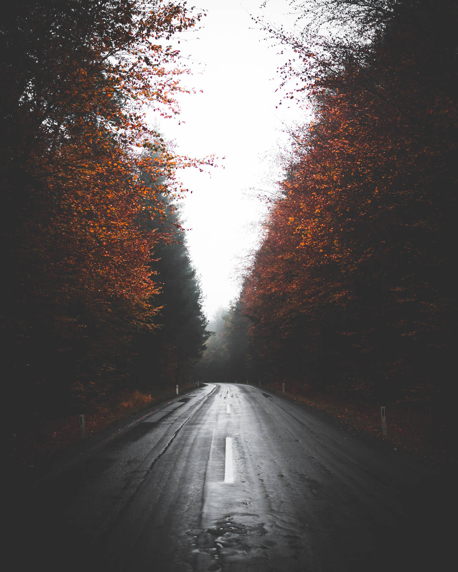 Download Rain Soaked Road Wallpaper