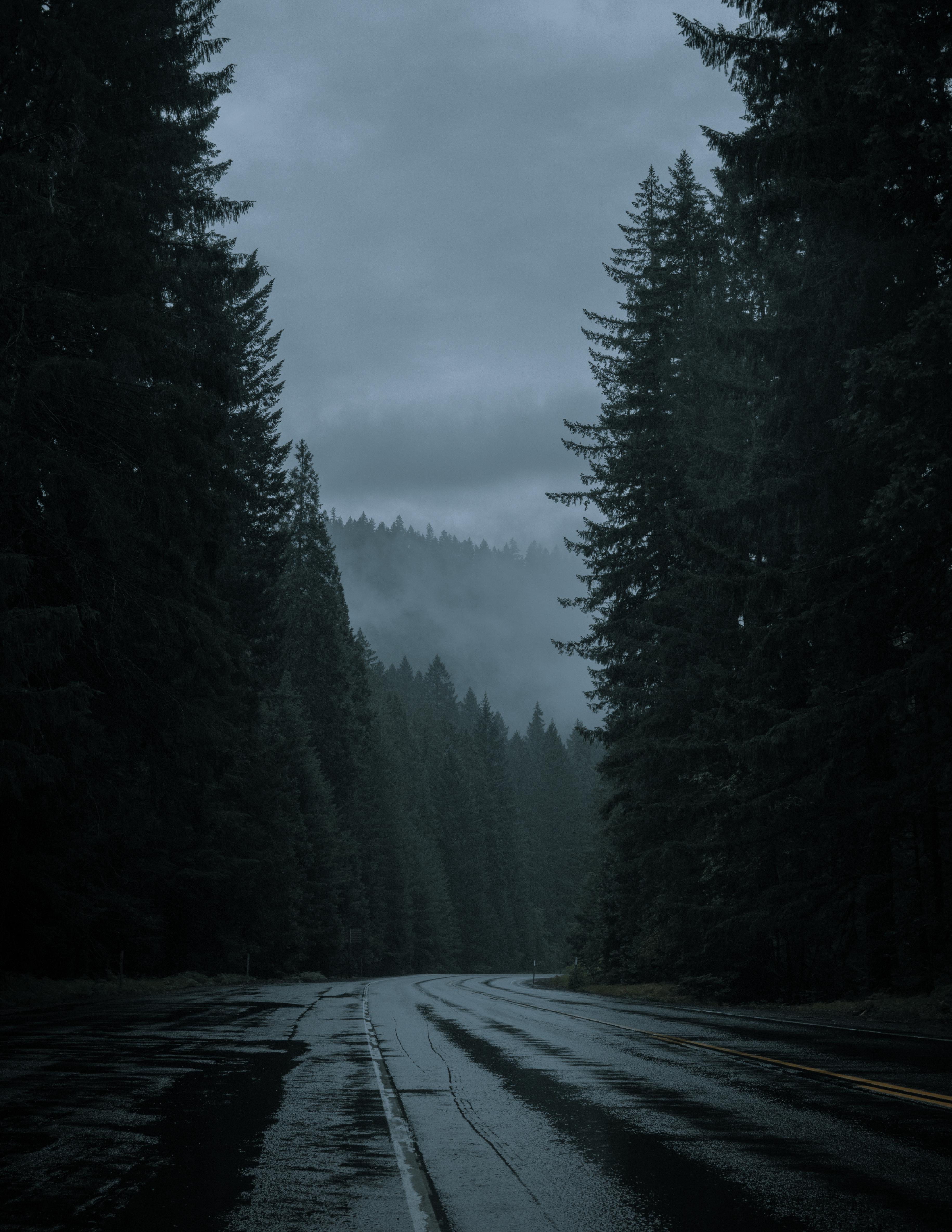 pacific northwest OC