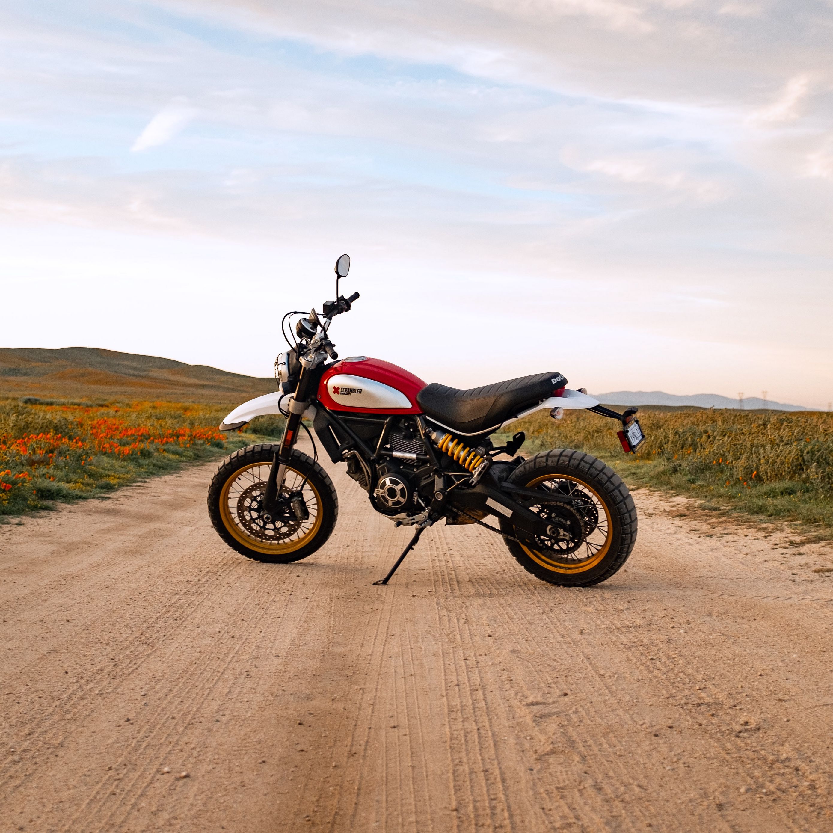 Download wallpaper 2780x2780 ducati scrambler, motorcycle, bike, side view ipad air, ipad air 2, ipad 3, ipad 4, ipad mini 2, ipad mini 3, ipad mini 4, ipad pro 9.7 for parallax HD background