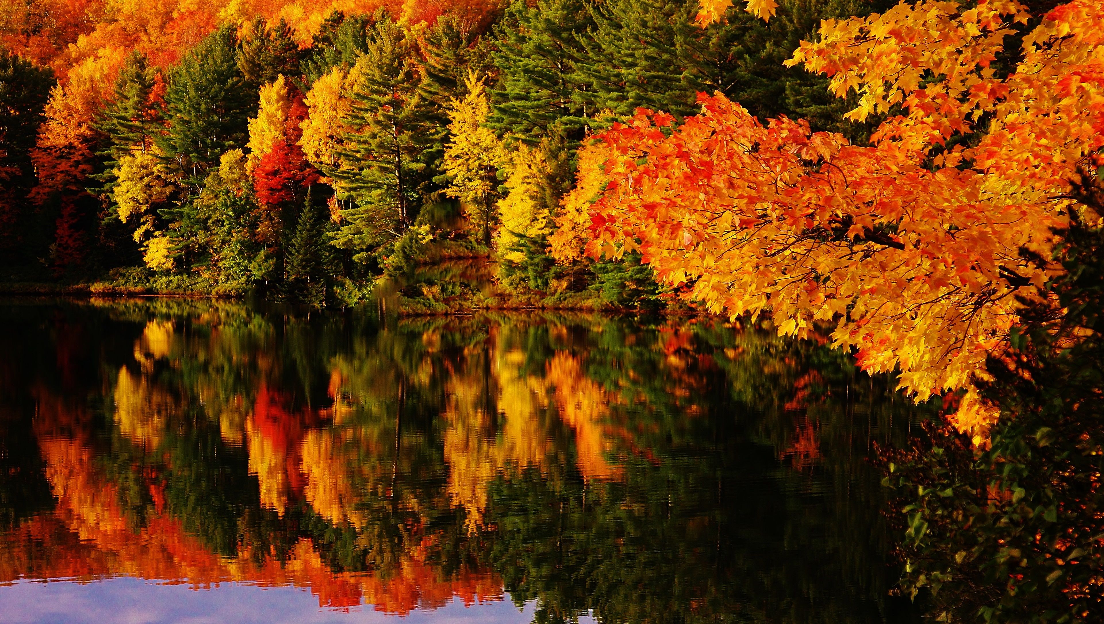 Autumn Reflections: A Stunning 4K Ultra HD Nature Wallpaper