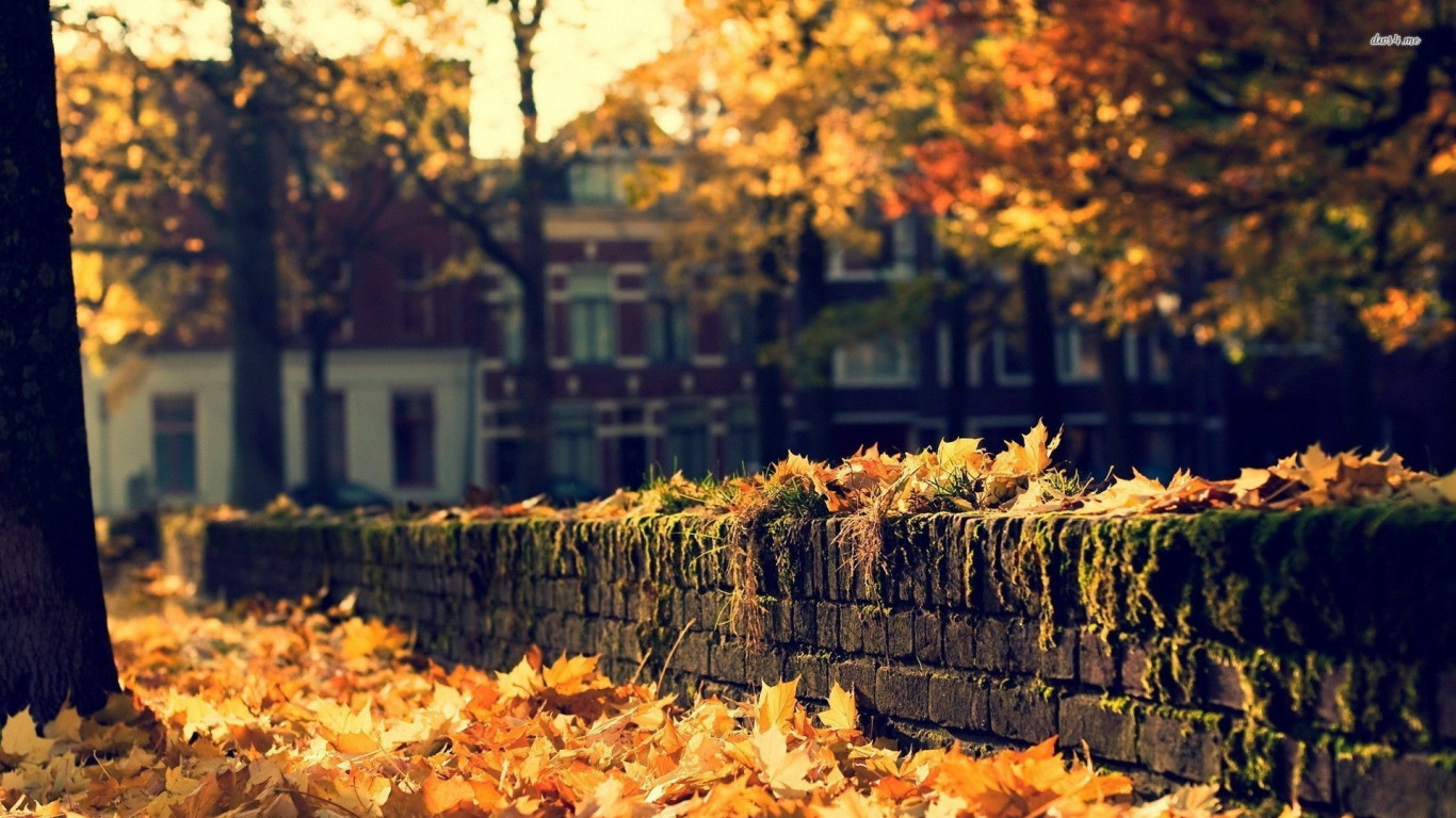 Autumn Aesthetic Wallpaper 1920x1080