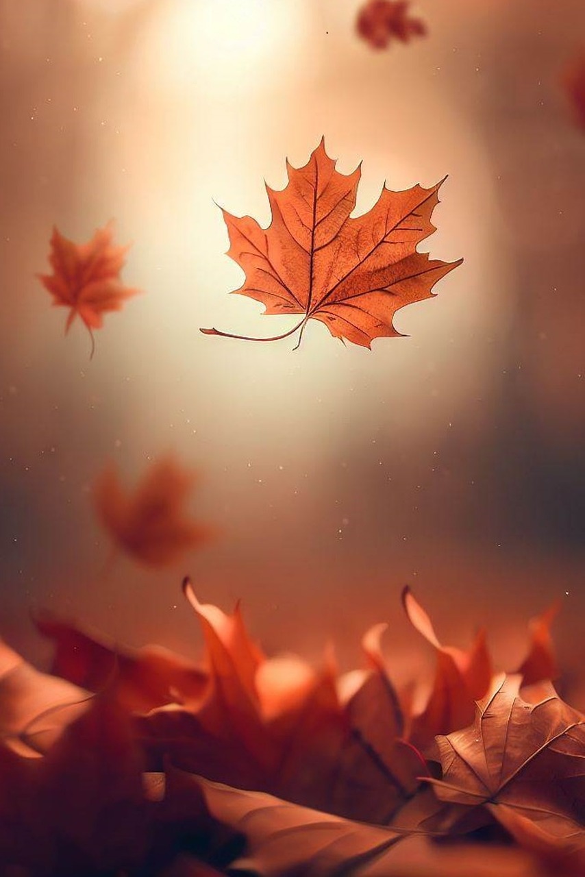 Download Autumn, Maple, Leaves. Royalty
