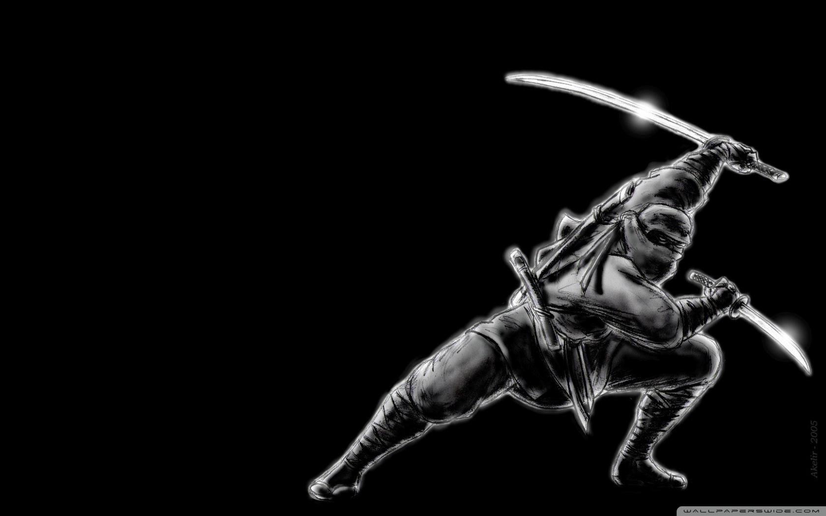 Ninja Ultra HD Desktop Background
