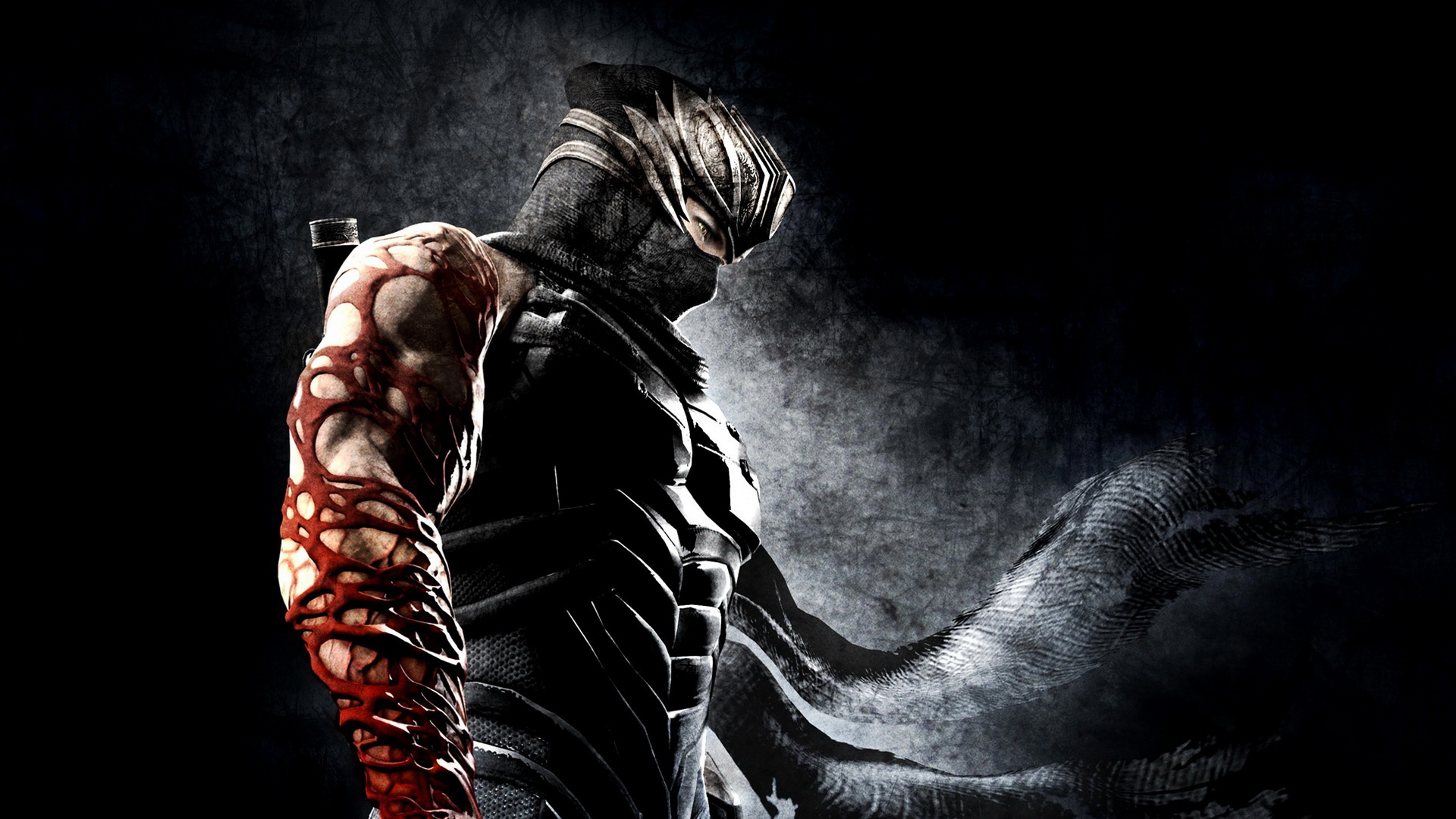 Ninja Gaiden 3 Warrior HD Wallpaper